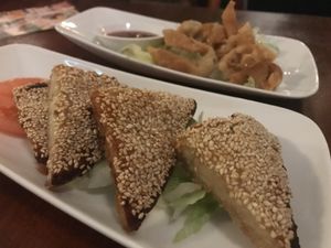 Vegan prawn toast (my favorite) & vegan pangsit at Leaf Vegetarian in Rotterdam