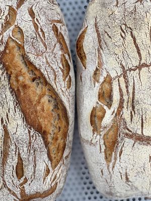  at Cafe Anioni in Inje-gun