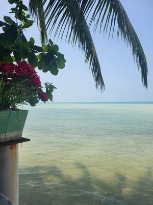  at Sunset Restaurant in Surat Thani