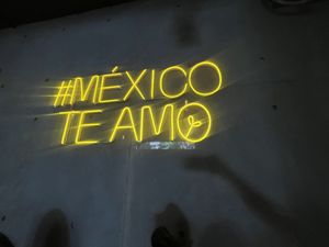   at Alguito Vegano in Mexico City