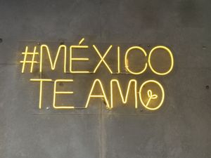   at Alguito Vegano in Mexico City