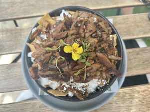   at Alguito Vegano in Mexico City