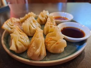 Pan-fried dumplings at September Vegan Food in Wellington