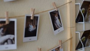 inside, 1 euro each at Katzentempel - München in Munich