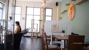 inside at Katzentempel - München in Munich