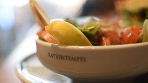 salad at Katzentempel - München in Munich