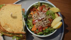 carrot "tuna" with salad at Katzentempel - München in Munich