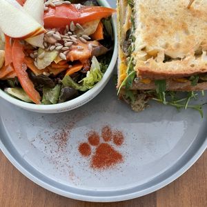 🐾🐱  at Katzentempel - München in Munich