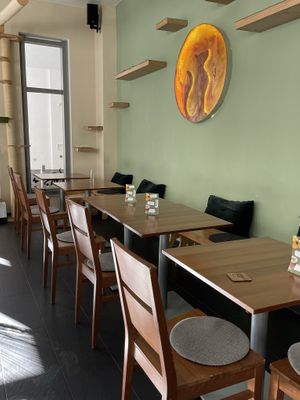   at Katzentempel - München in Munich