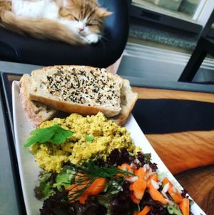 lovely food and lovely company at Katzentempel - München in Munich