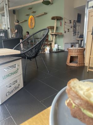   at Katzentempel - München in Munich