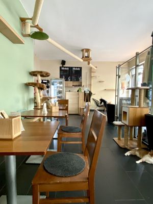   at Katzentempel - München in Munich