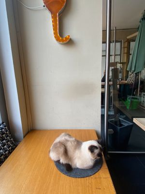   at Katzentempel - München in Munich