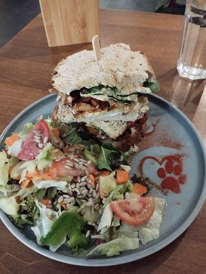  at Katzentempel - München in Munich