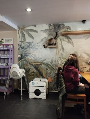  at Katzentempel - München in Munich