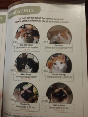  at Katzentempel - München in Munich