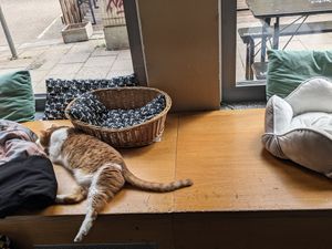  at Katzentempel - München in Munich