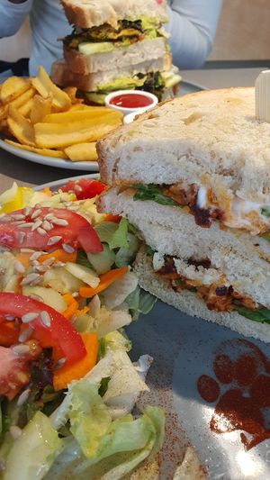 Lunch deal at Katzentempel - München in Munich