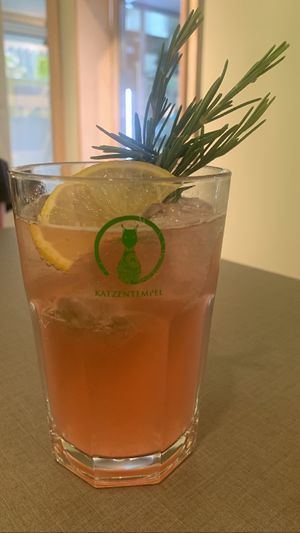  at Katzentempel - München in Munich