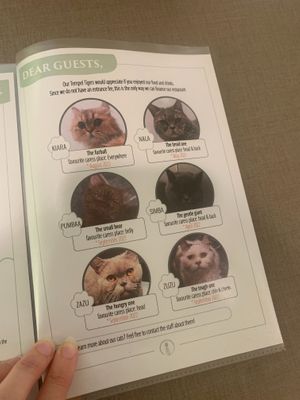  at Katzentempel - München in Munich