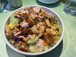 Panther bowl  at Katzentempel - München in Munich