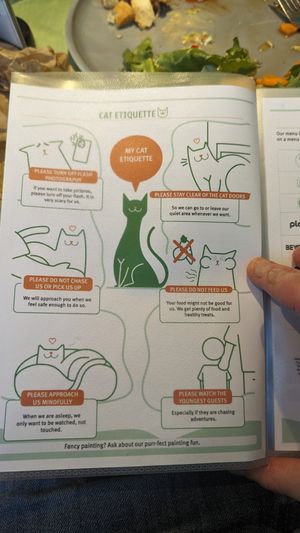  at Katzentempel - München in Munich