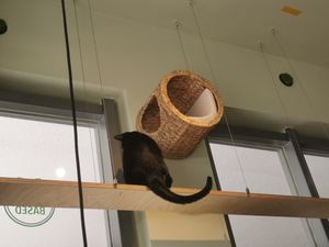  at Katzentempel - München in Munich