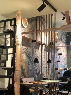 Inside  at Katzentempel - München in Munich