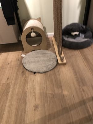 Inside  at Katzentempel - München in Munich