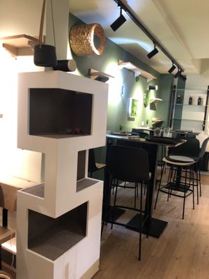 Inside  at Katzentempel - München in Munich