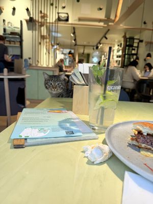   at Katzentempel - München in Munich