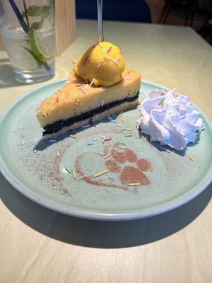   at Katzentempel - München in Munich