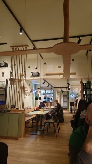  at Katzentempel - München in Munich