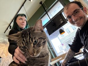 kitty kitty  at Katzentempel - München in Munich