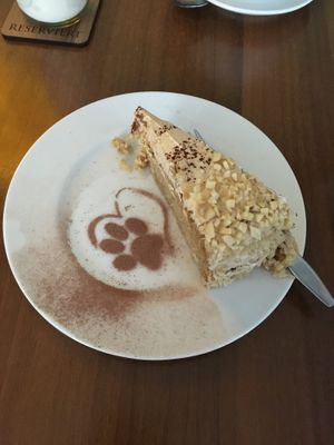 Peanut cake at Katzentempel - München in Munich