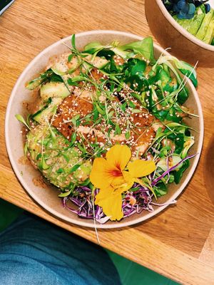 Asian tofu protein bowl at The Vegan Fairies in Athens