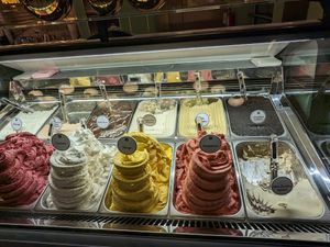 Various vegan flavors clearly marked with a green circle. at Anita La Mamma del Gelato in Aventura