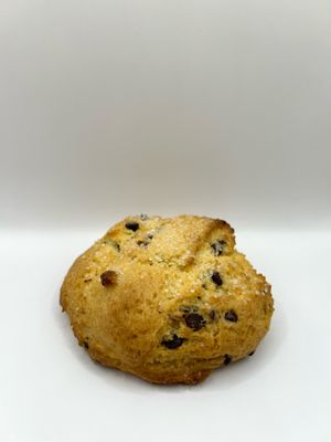 Chocolate Chip Scone at Allergy Free Bakery in Shelby Charter Township