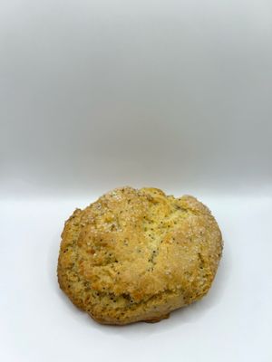 Lemon Poppyseed Scone at Allergy Free Bakery in Shelby Charter Township