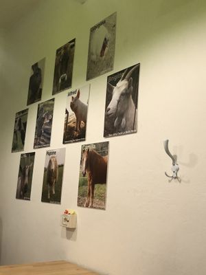 The wall of fame :) at La Vegana in Ferrara