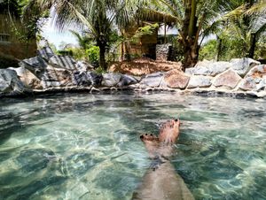  at Banteay Srey Women's Only Traditional Spa and Homestay in Kampot