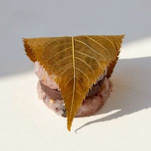 Ohagi Burger, sakura & grains flavor. at Chashitsu Time in Osaka