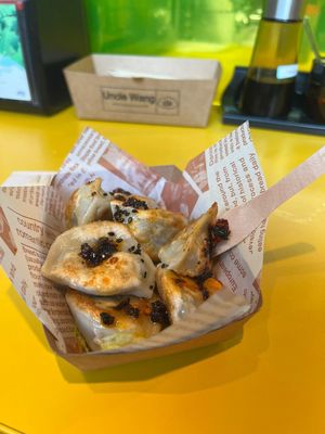 vegan dumplings  at Uncle Wang Dumplings in Rotterdam