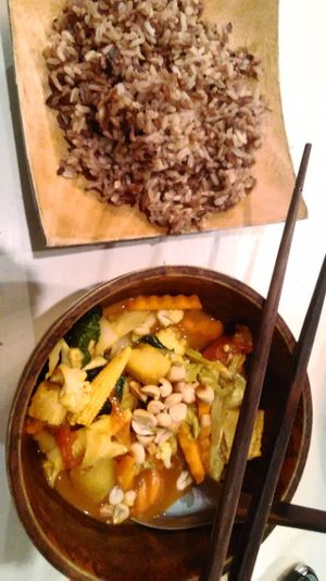 Masaman curry with brown rice at Morning Glory in Chiang Mai