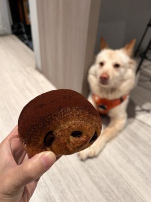  Vegan Pain de chocolates  at RaLa - 堯日 in Macau