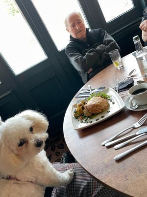 Now dog friendly dining in the bar area - book ahead  at Fighting Cocks in Dartford
