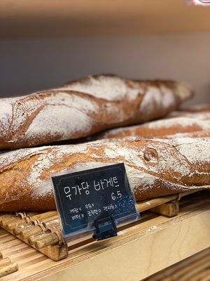  at Jeju Ssalbbang in Jeju