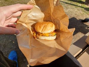 Spicy burger at Veggie Junkies Burger in Kobe