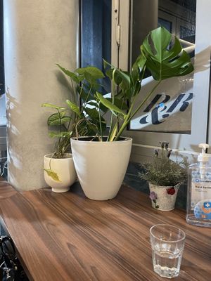   at Vege4Love in Marrickville