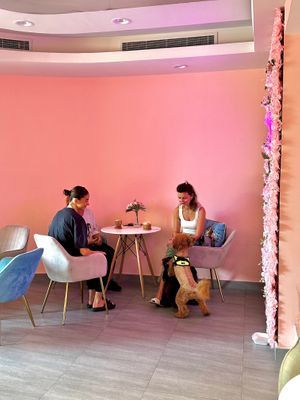  at Ninna Homemade Bakery in Dubai